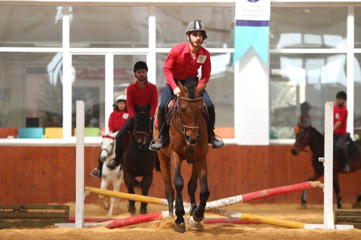 Esogü\'de Hippoterapi ile Tedavi Başlıyor