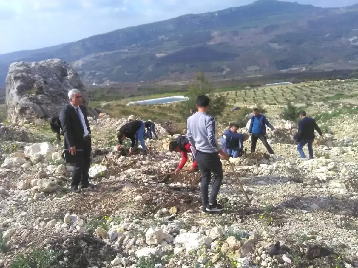 Mersin\'de Denetimli Serbestlik Yükümlüleri Fidan Dikti