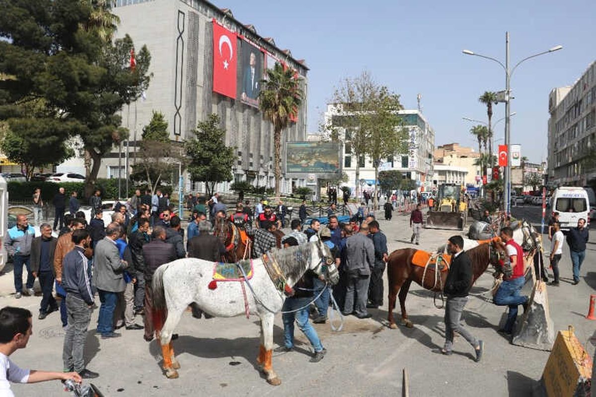 Şanlıurfa\'da At Arabası Sahiplerinden Eylem
