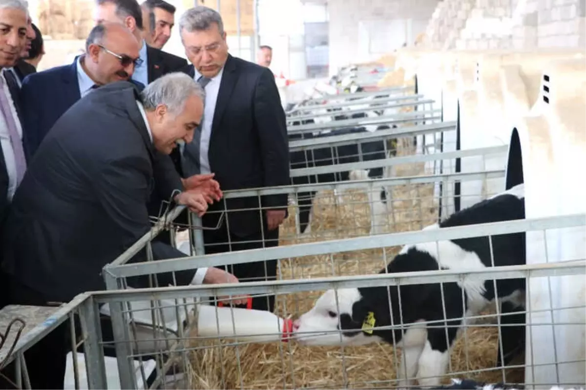 Bakan Fakıbaba: "Niğde\'den 15 Ülkeye Patates Tohumu Satacağız"