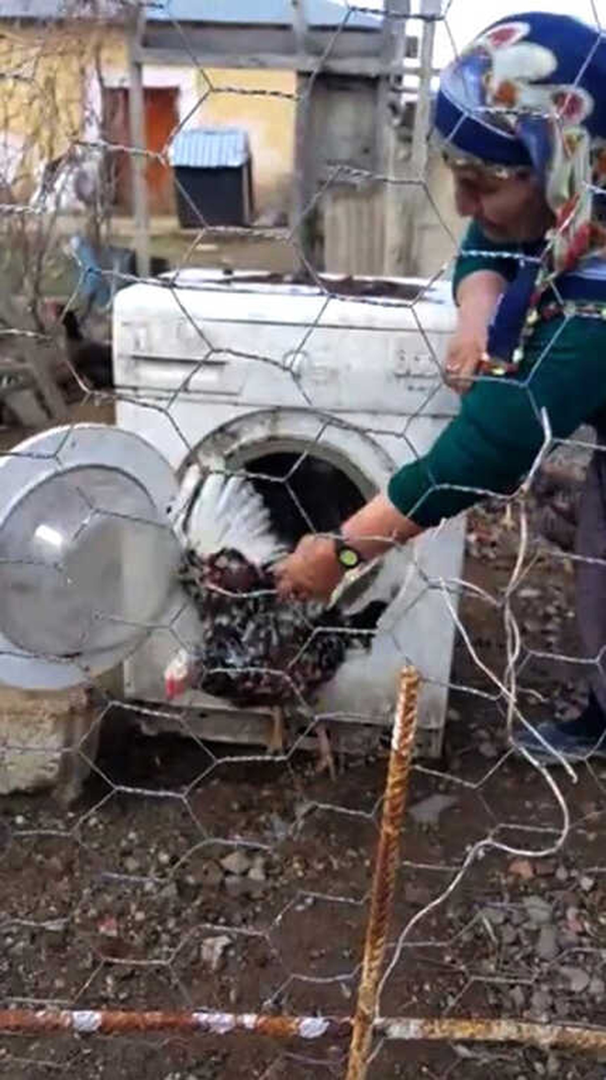 Çamaşır Makinesini Tavuklarına Kümes Yaptı