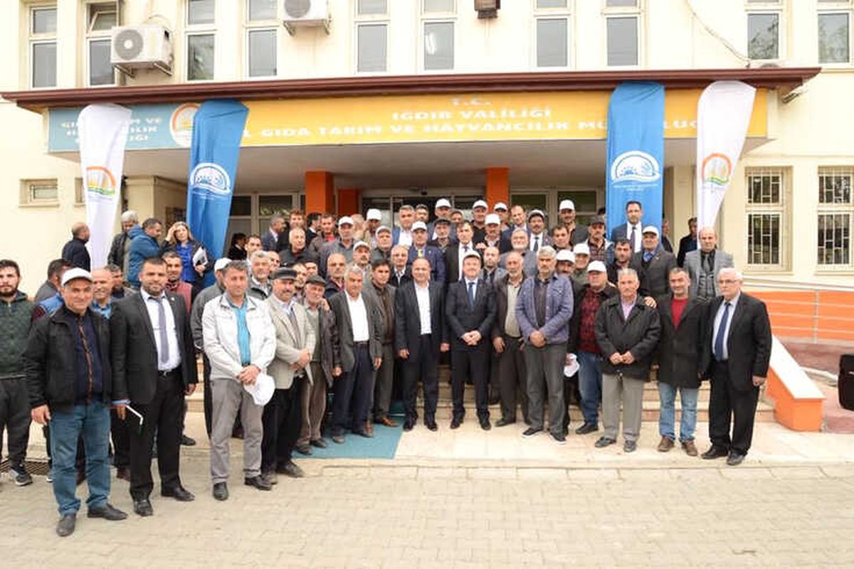 Çiftçiye Silajlık Mısır Dağıtıldı
