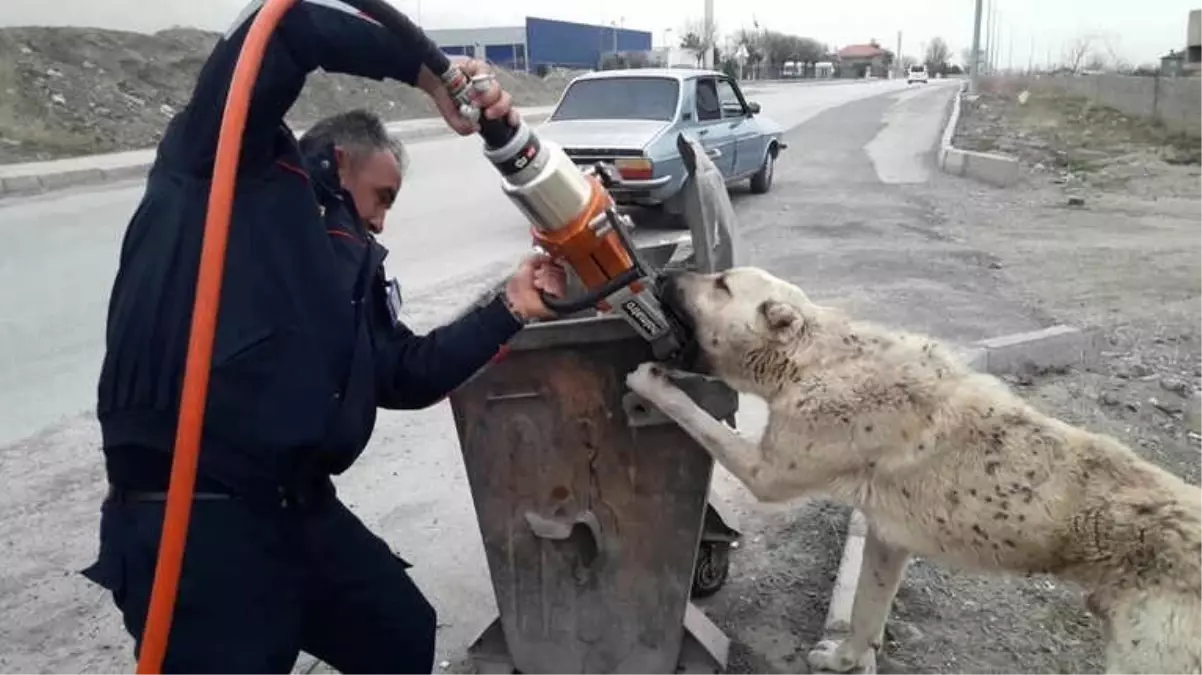 Çöp Kutusuna Ayağı Sıkışan Köpeği İtfaiye Kurtardı