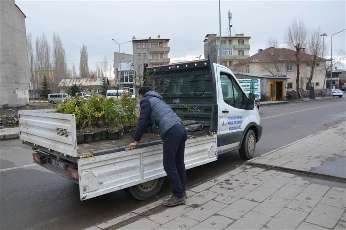 Patnos Belediyesinin Ağaçlandırma Çalışmaları
