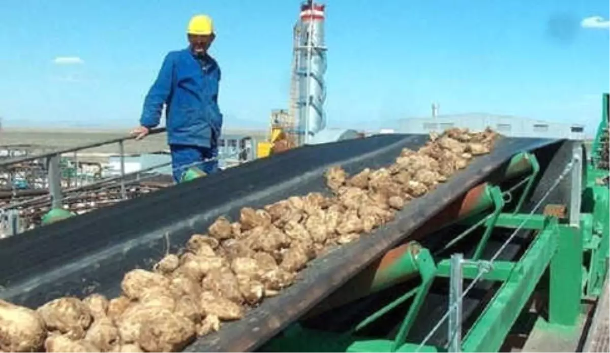 Şeker Fabrikalarının Tek Talibi İhaleye Katılmama Kararı Aldı