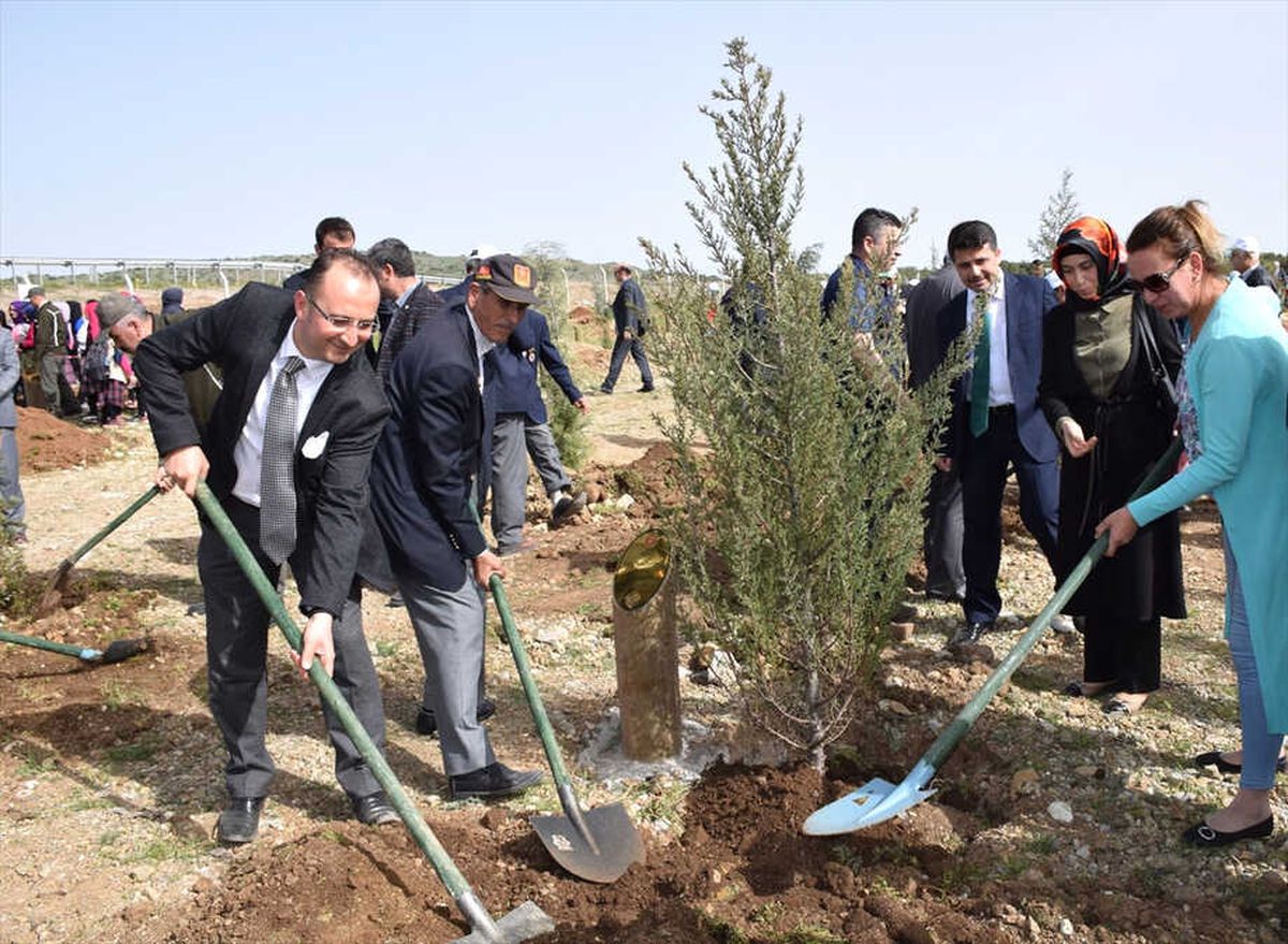 15 Temmuz ve Afrin Şehitler Ormanlığı Kuruldu