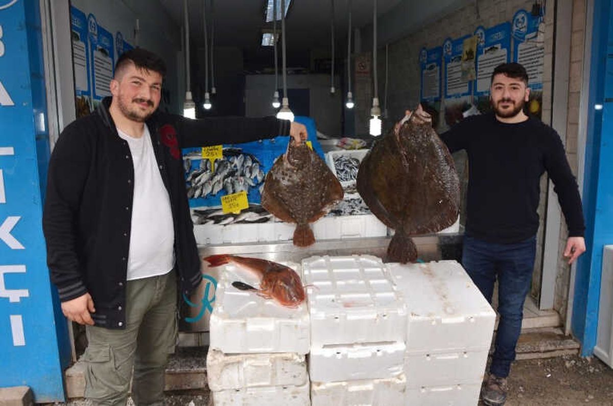 Bin 200 Liraya Dev Kalkan Balığı