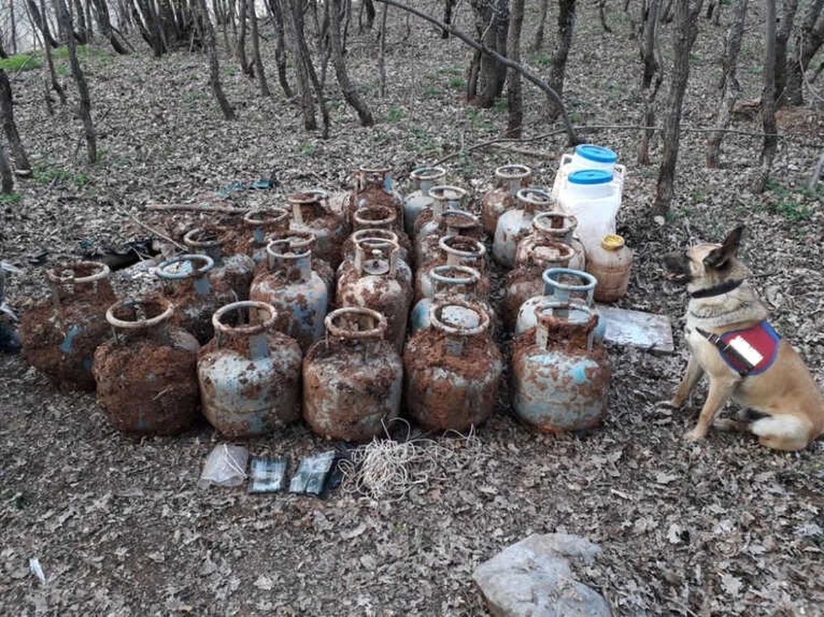 Bitlis\'te 16 Adet Eyp Ele Geçirildi