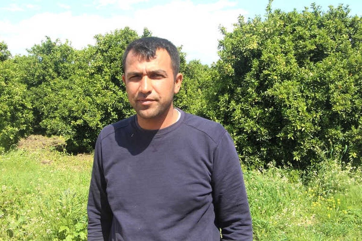 Eski Kocaya Ormanda Kafasına Silah Dayayıp Zorla Senet İmzalattılar İddiası