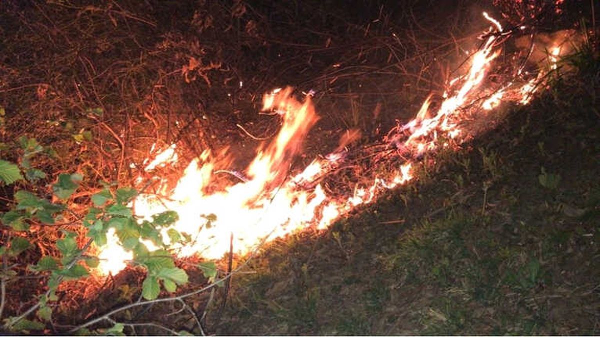 Giresun\'daki Orman Yangınlarında 7 Hektar Alan Zarar Gördü