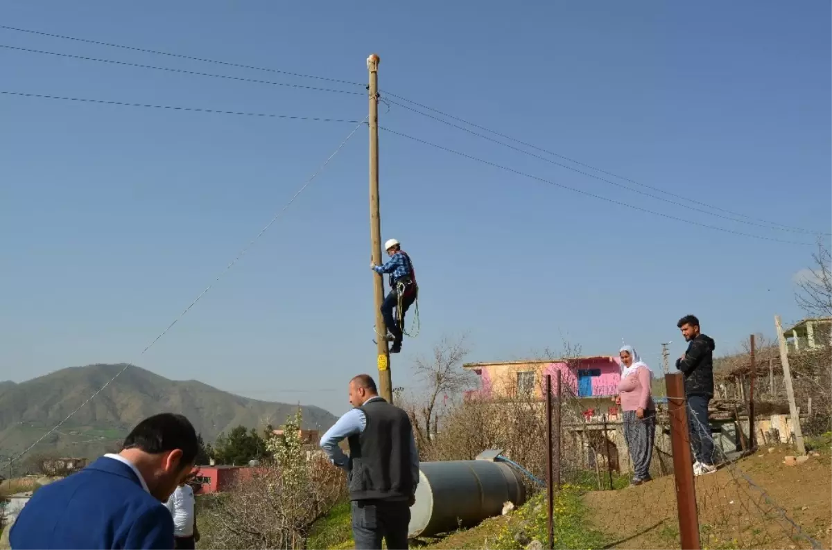 Mahsur Kalan Kediyi Dedaş Ekipleri Kurtardı