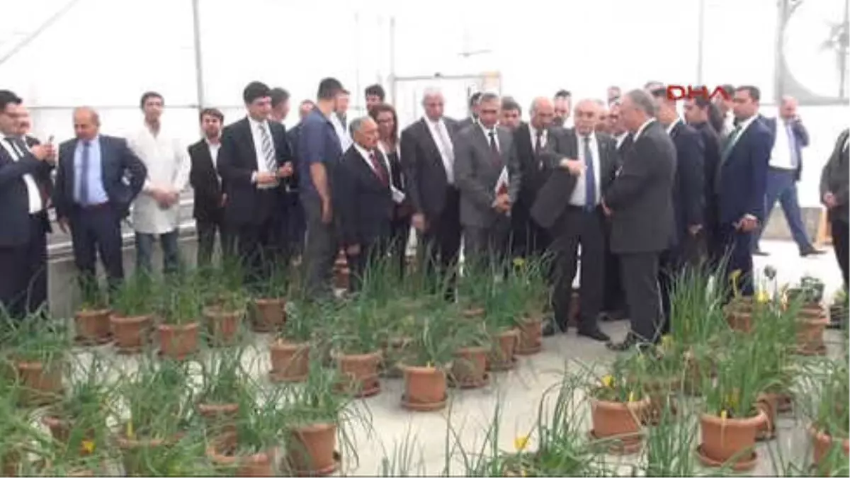 Niğde Bakan Fakıbaba: 15 Ülkeye Patates Tohumu İhraç Edeceğiz