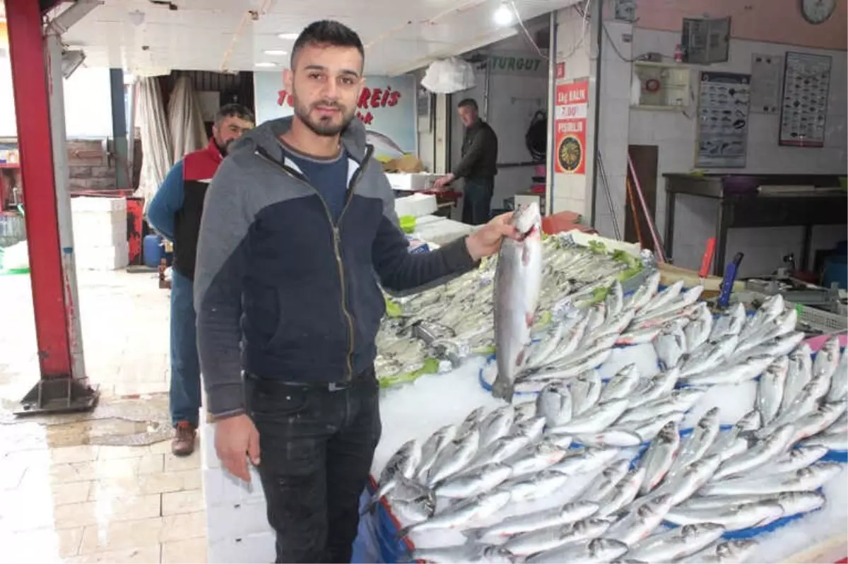 Tavşanlı\'ya Günlük Taze Balık Geliyor