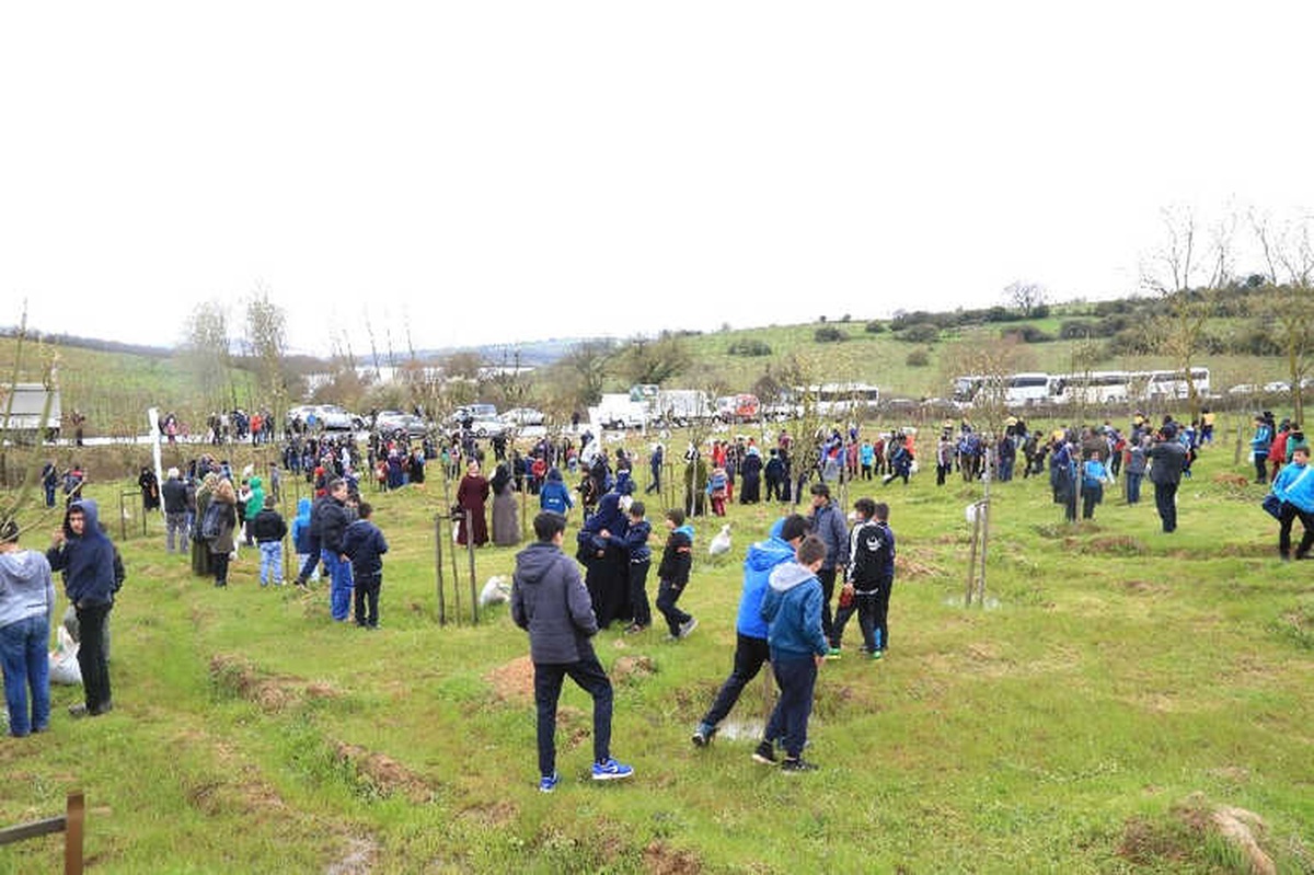 İbb Futbol Akademisi Öğrencileri Hatıra Ormanı Oluşturdu