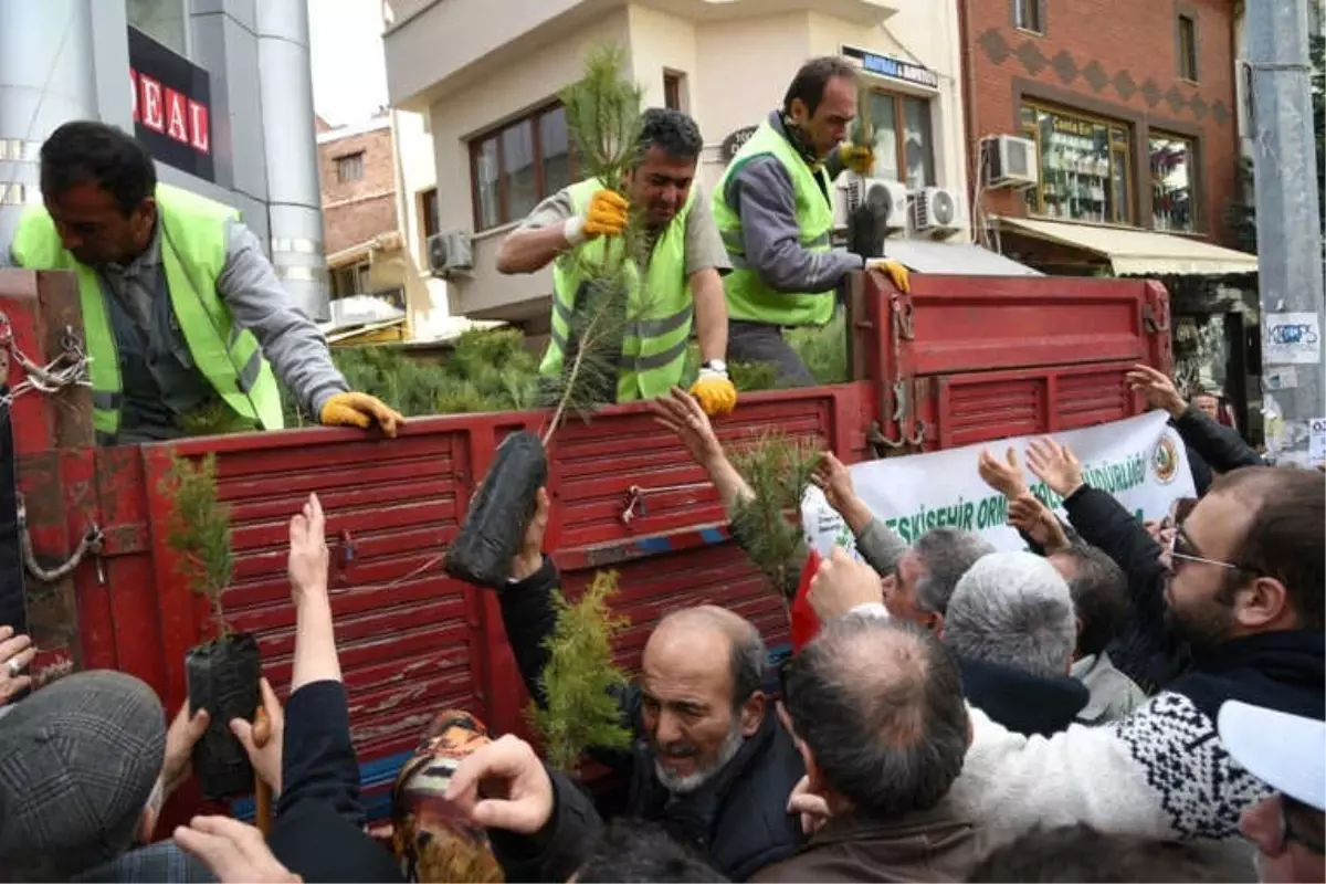 Orman Haftası Kapsamında Fidan Dağıtımları Sürüyor