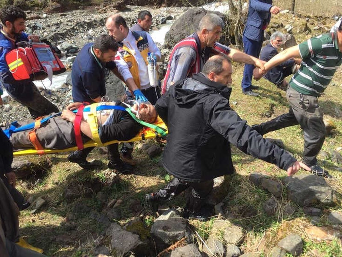 Rize\'de Kestikleri Ağacın Altında Kalan Amca ile Yeğeni Yaralandı