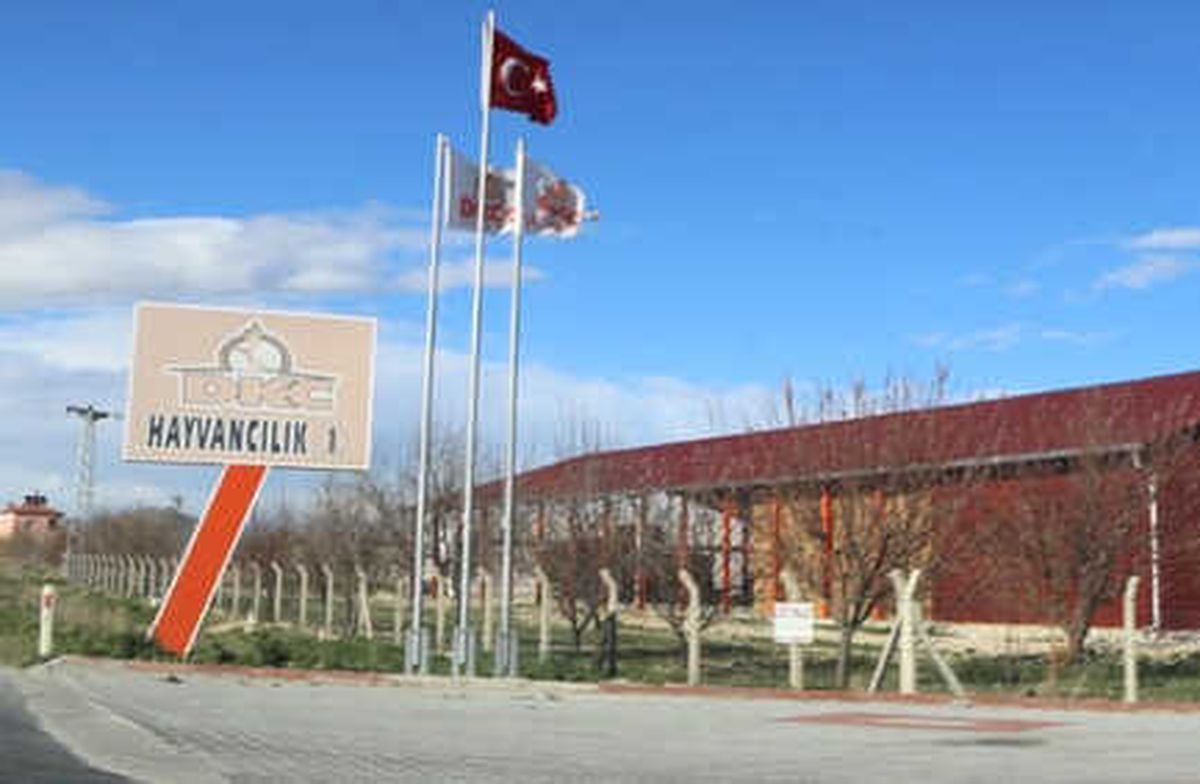 Sütbank, Bir İneği 60 Kişiye Kiralamış