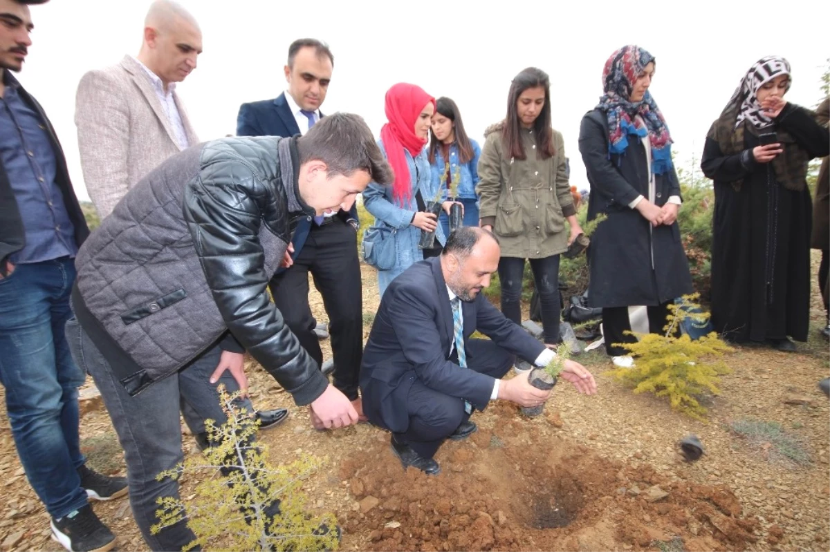 Beyşehir\'de 2023 Adet Orman Fidanı Toprakla Buluşturuldu