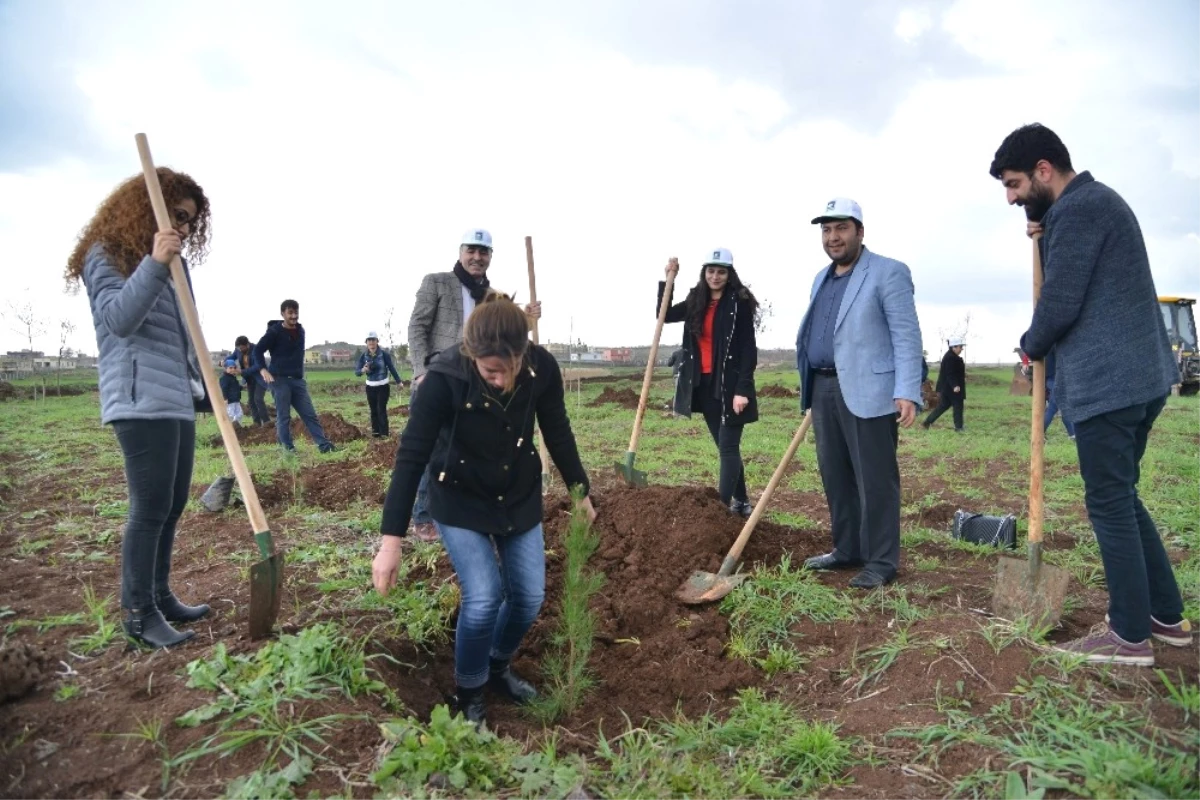 Dsmmmo Üyeleri Kent Ormanı\'na Fidan Dikti