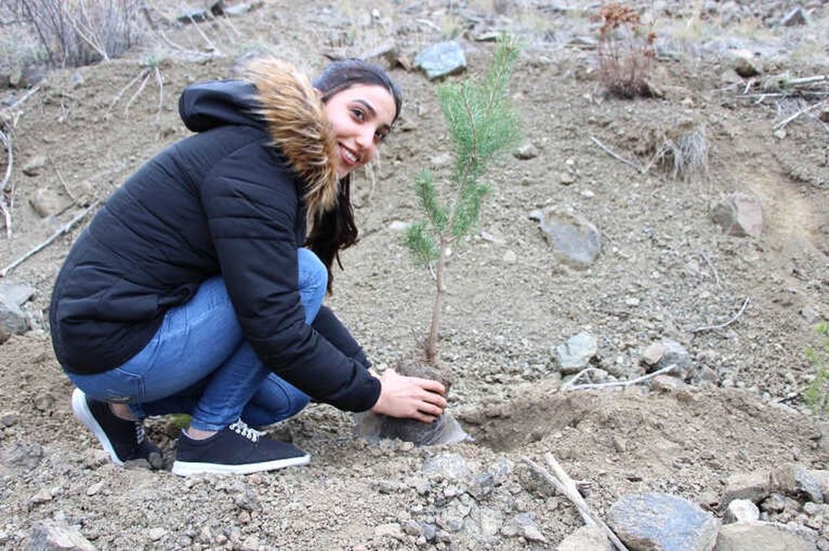 Erzincan\'da Afrin Şehidi 49 Mehmetçik İçin 49 Fidan Dikildi