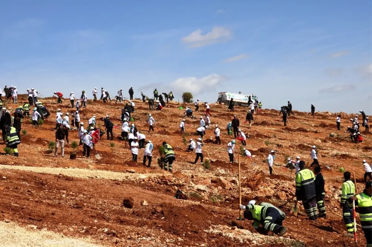 Gaziantep\'te 300 Öğrenci 30 Bin Fidanı Toprakla Buluşturdu