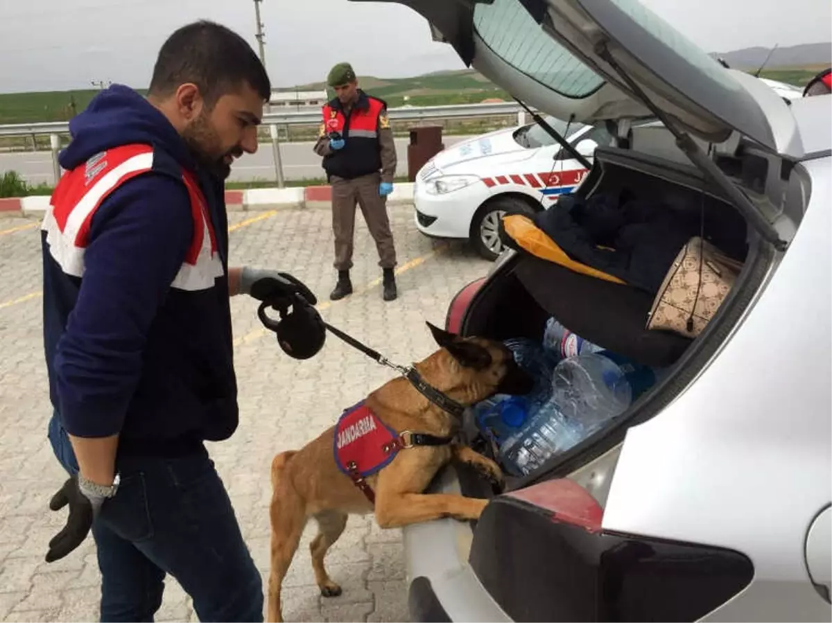 Jandarmadan Köpekli Yol Denetimi