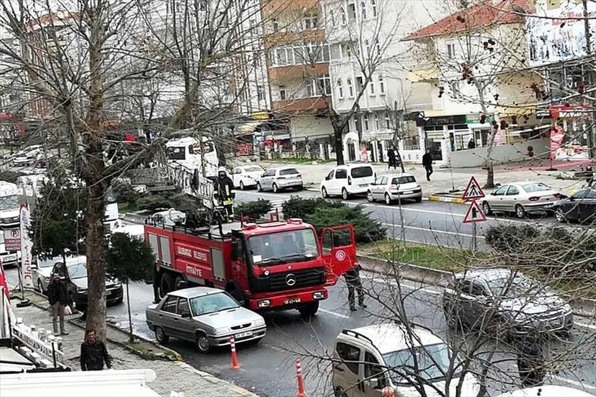 Lüleburgaz\'da Kedi Kurtarma Operasyonu
