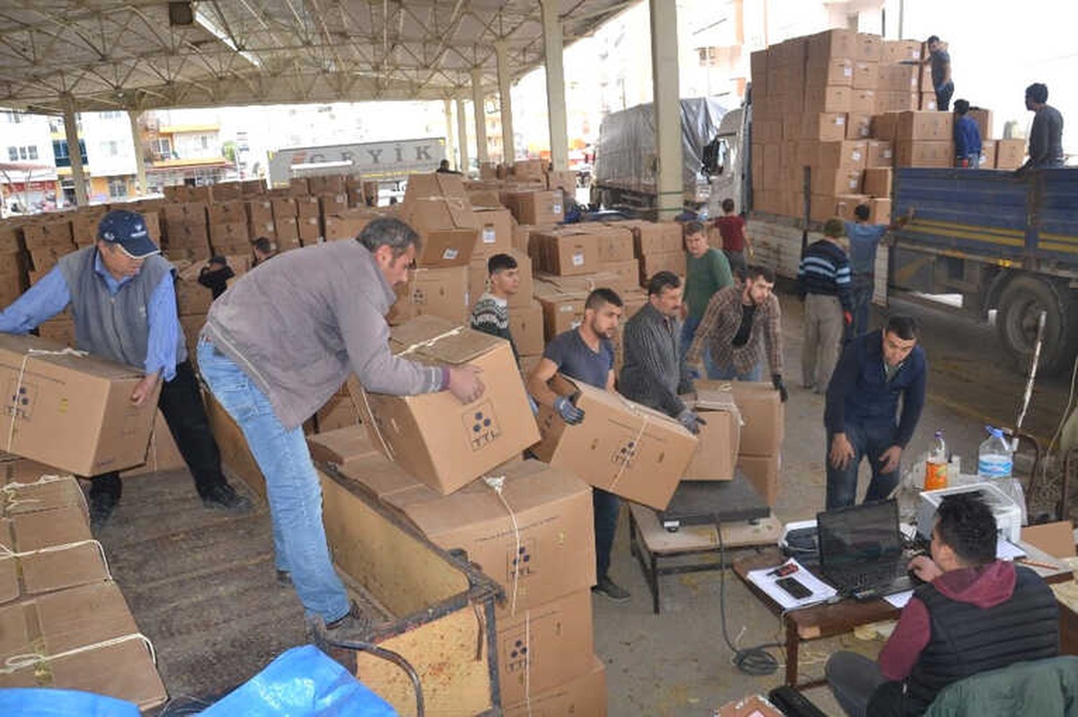Saruhanlı\'da Tütün Üreticileri Fiyatlardan Şikayetçi