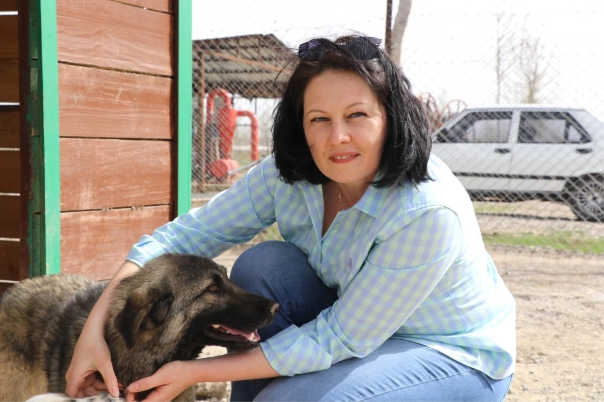 Sokak Hayvanlarına Rus Gelin Şefkati