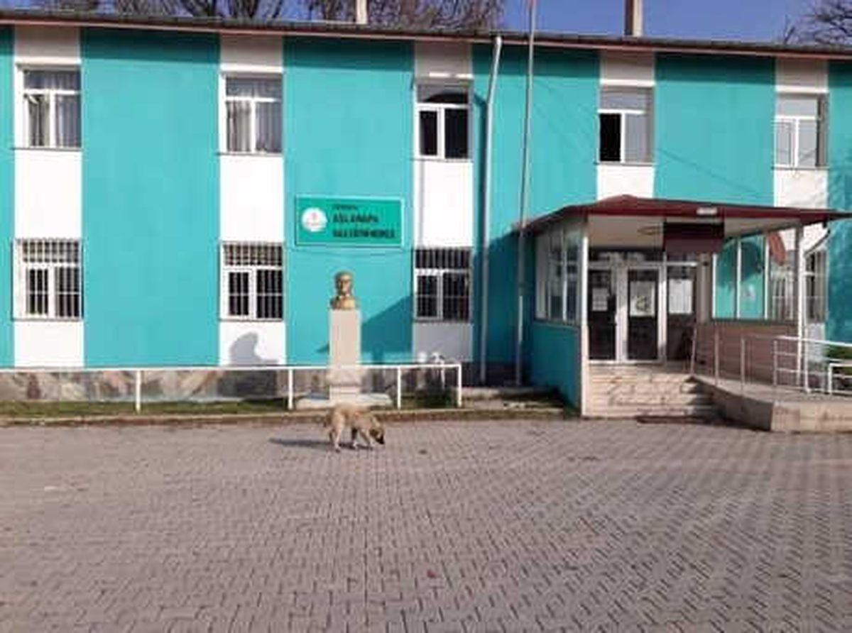 Turkuaz Rengi Aslanapa Halk Eğitimi Merkezi Müdürlüğü\'nün Sembolü Oldu