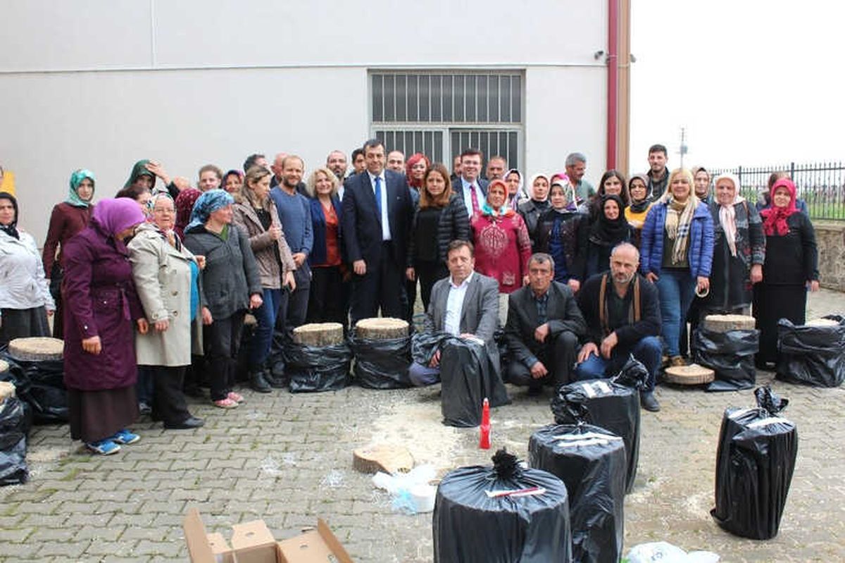 Vakfıkebir\'de "İstiridye Mantarı Yetiştiriciliği" Kursu Düzenlendi