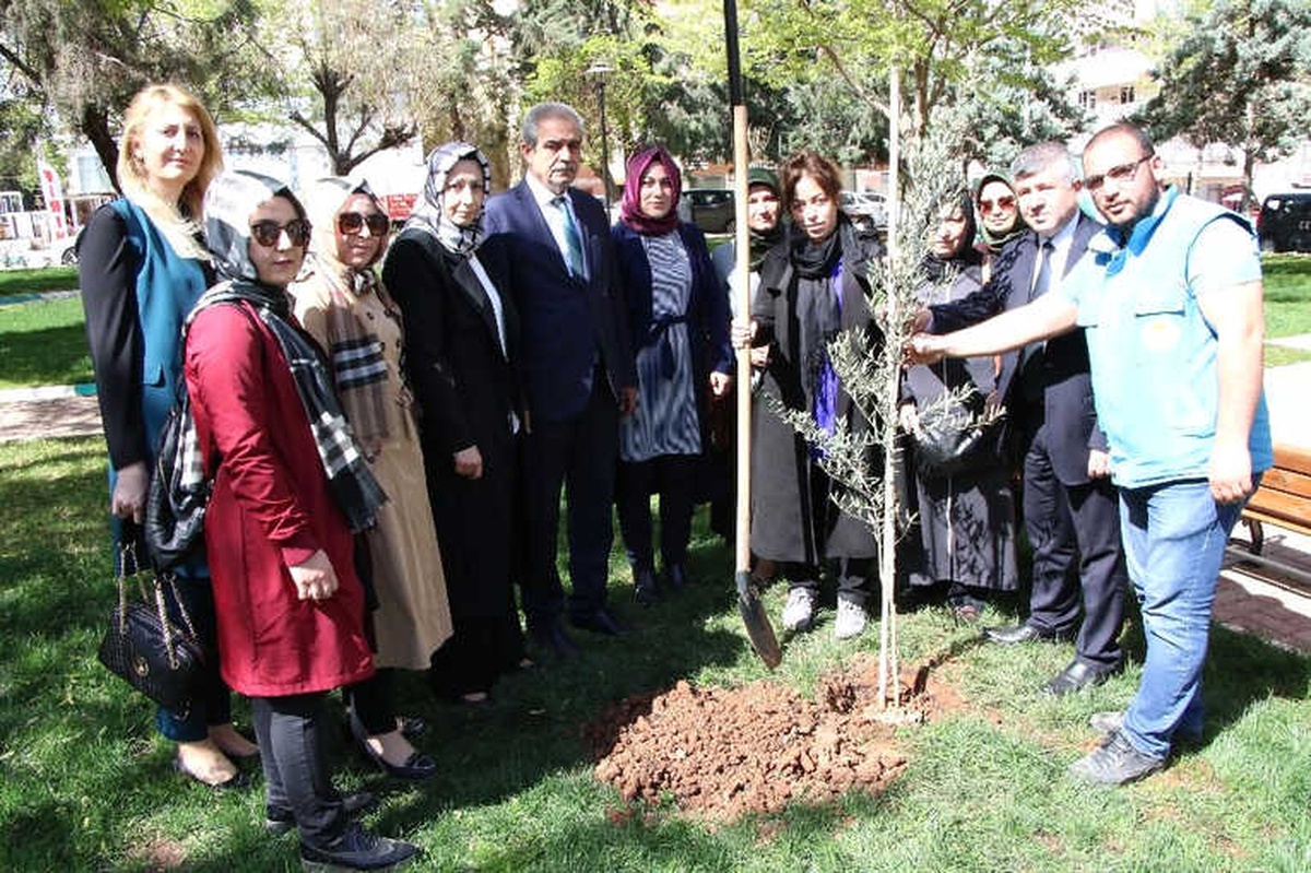 Afrin Şehidinin Annesi Oğlunun Adının Verildiği Parka Zeytin Fidanı Dikti