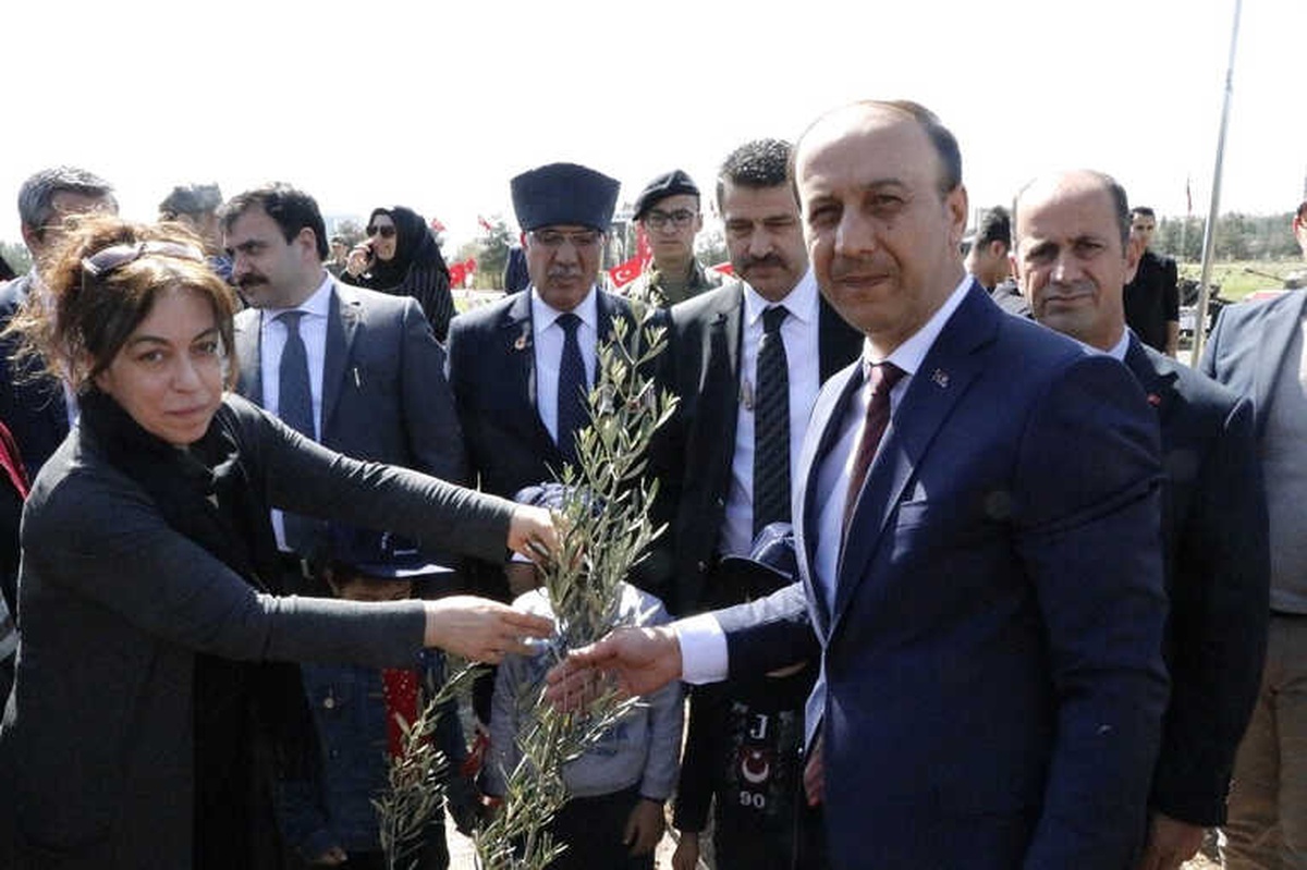 Afrin Şehitleri İçin Zeytin Fidanları Diktiler