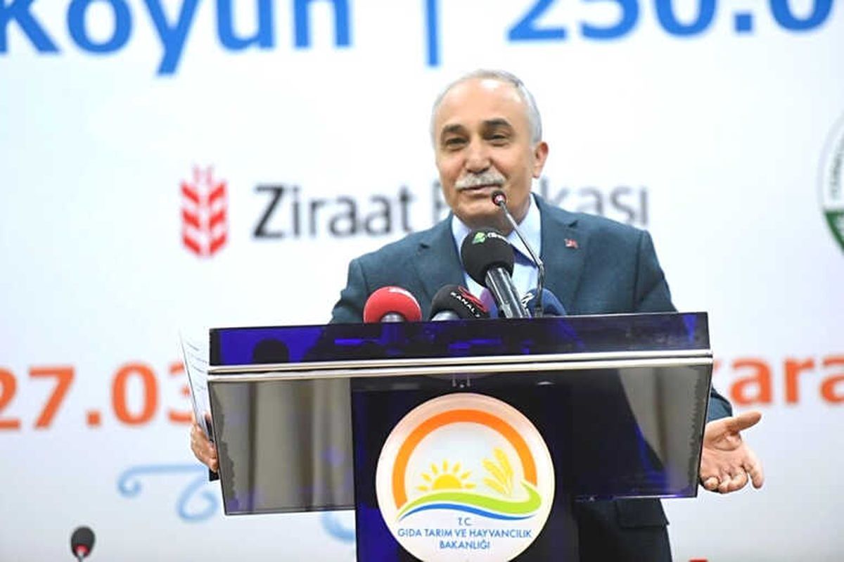 Çiftçilere Koyun ve Düve Desteği Müjdesi