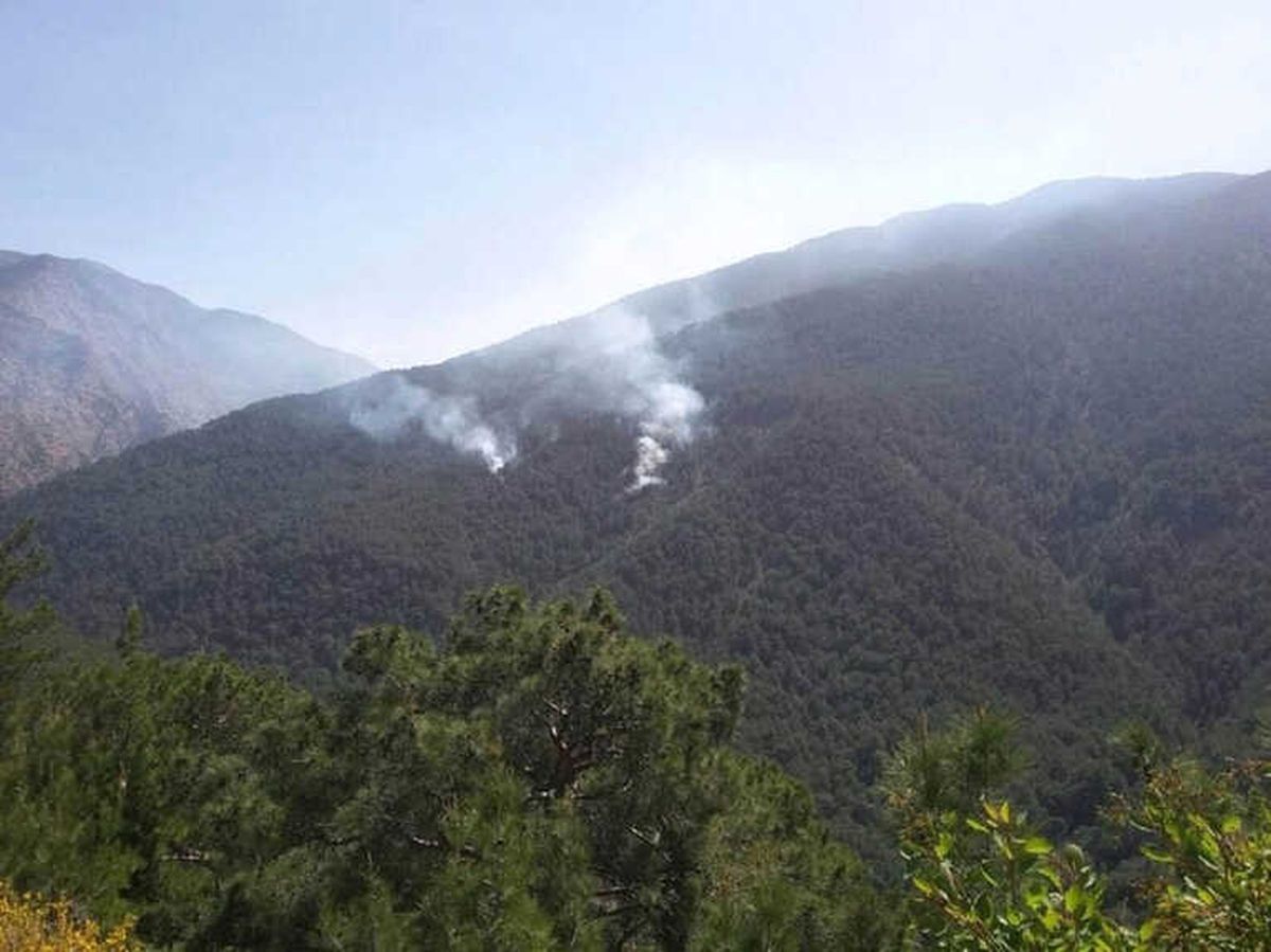 Hatay\'da Teröristlerin Çıkardığı Orman Yangını Kontrol Altına Alındı