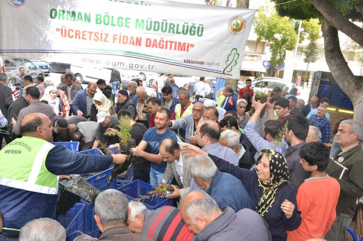 Mersin\'de Fidan Dağıtımına Yoğun İlgi