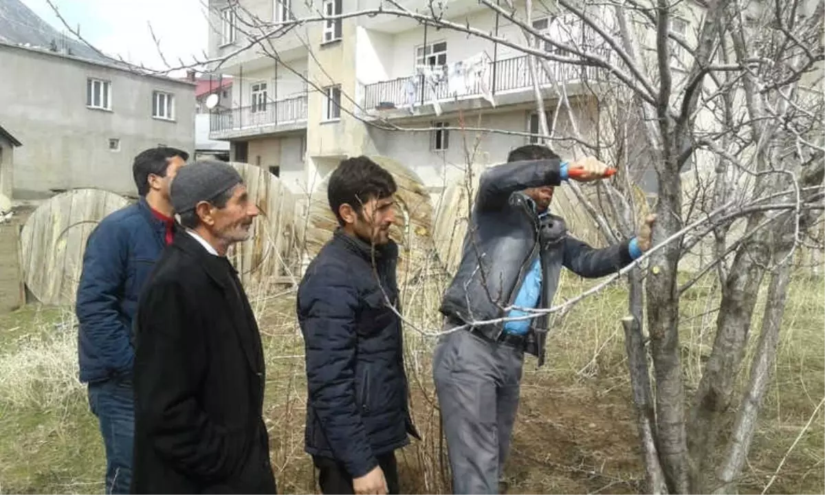 Tatvan\'da "Meyve Ağacı Budama" Eğitimi