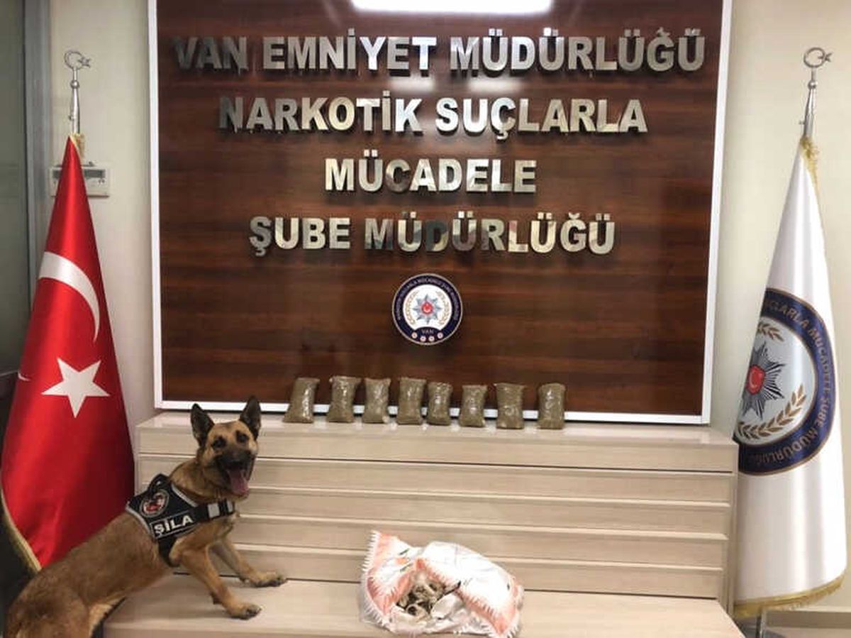 Van\'da 3 Ayrı Operasyonda 100 Kilo Eroin Ele Geçirildi