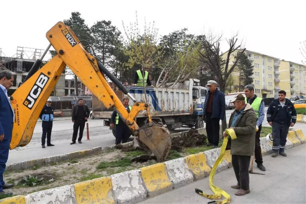 Muş Belediyesinden Çevre Dostu Belediyecilik Örneği