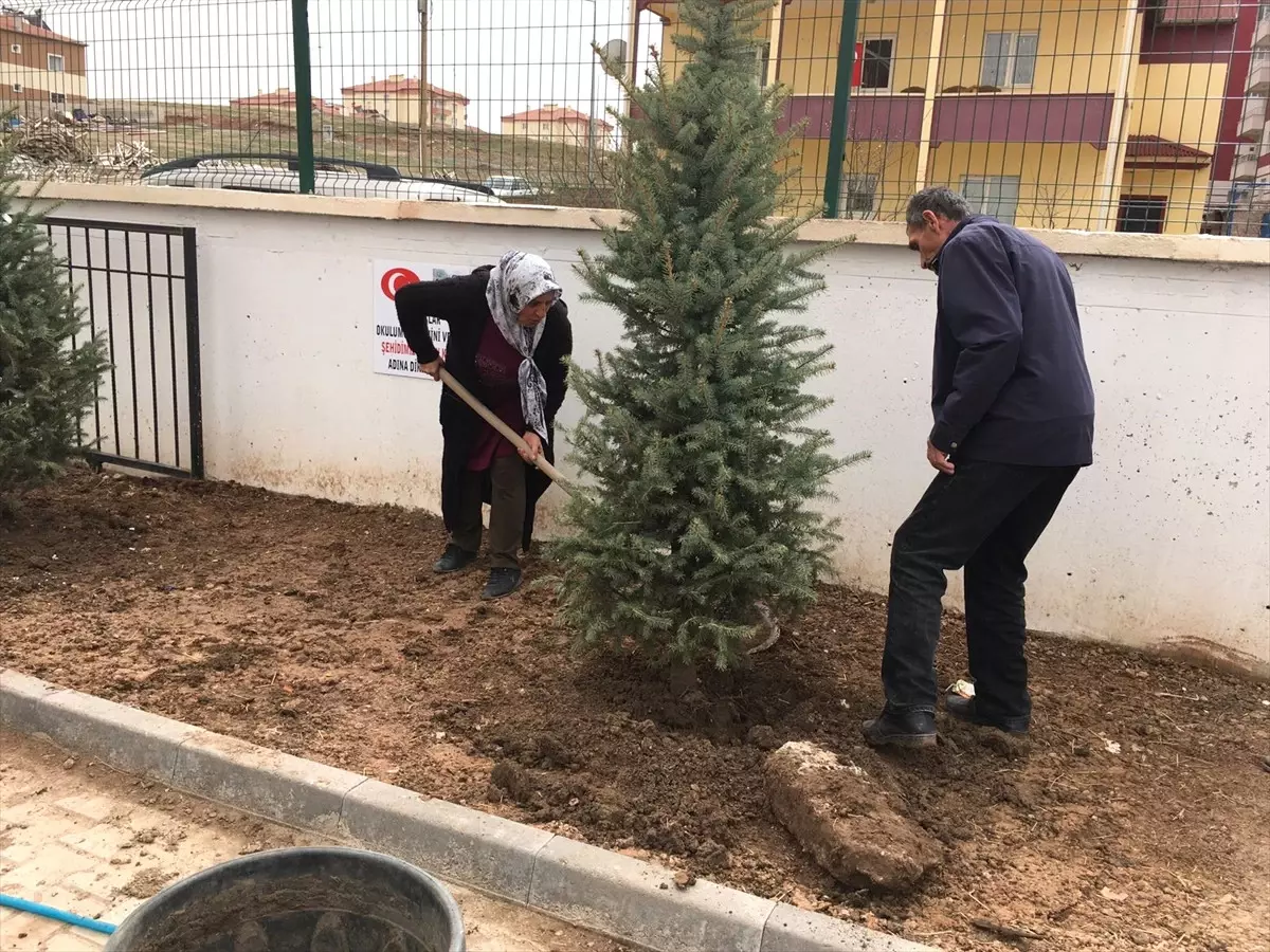 Öğrenciler Fidan Dikti