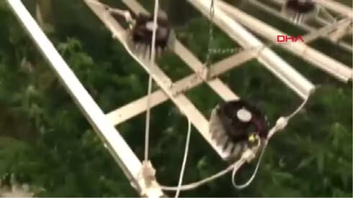 Sarıyer\'de Apartman Dairesinde Uyuşturucu Serası: 2 Gözaltı