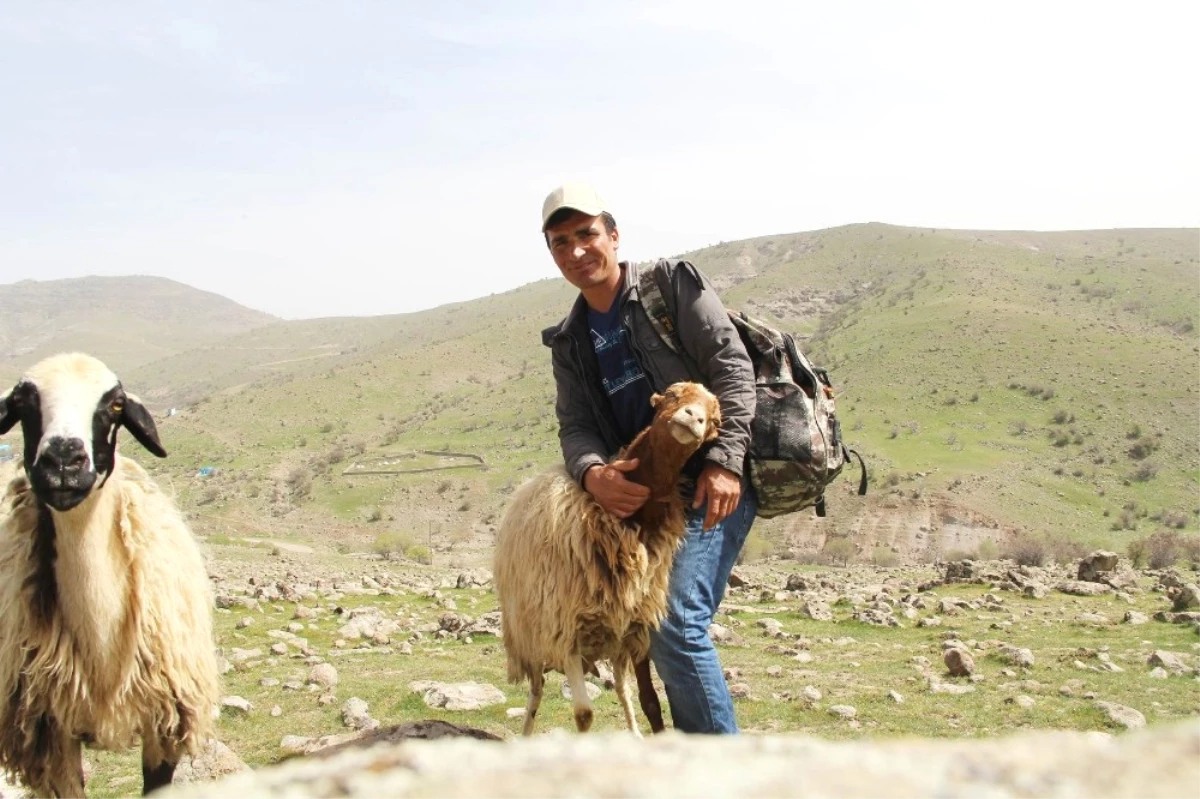 Sosyal Medyada Dikkat Çeken Çoban, İha\'ya Konuştu