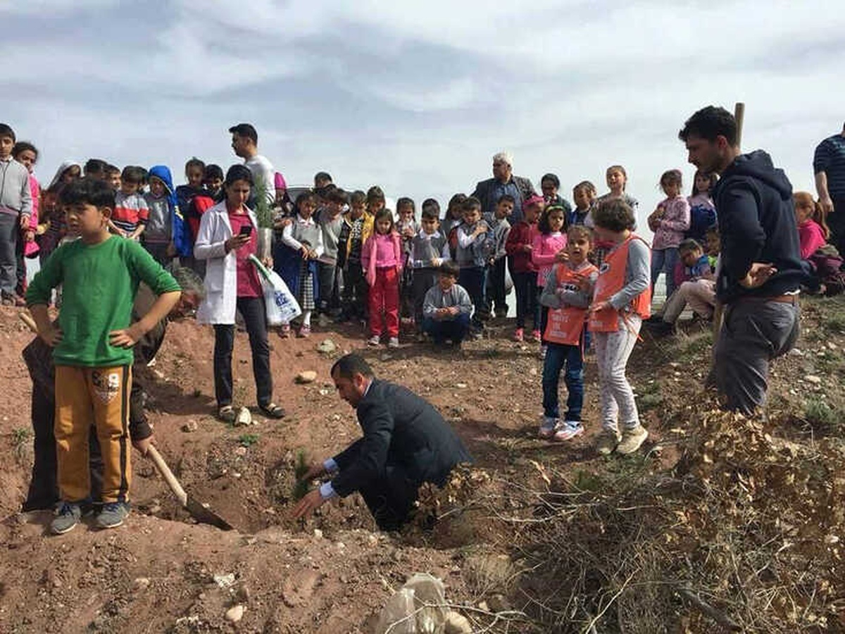 Aydıncık\'ta Fidanlar Toprakla Buluştu
