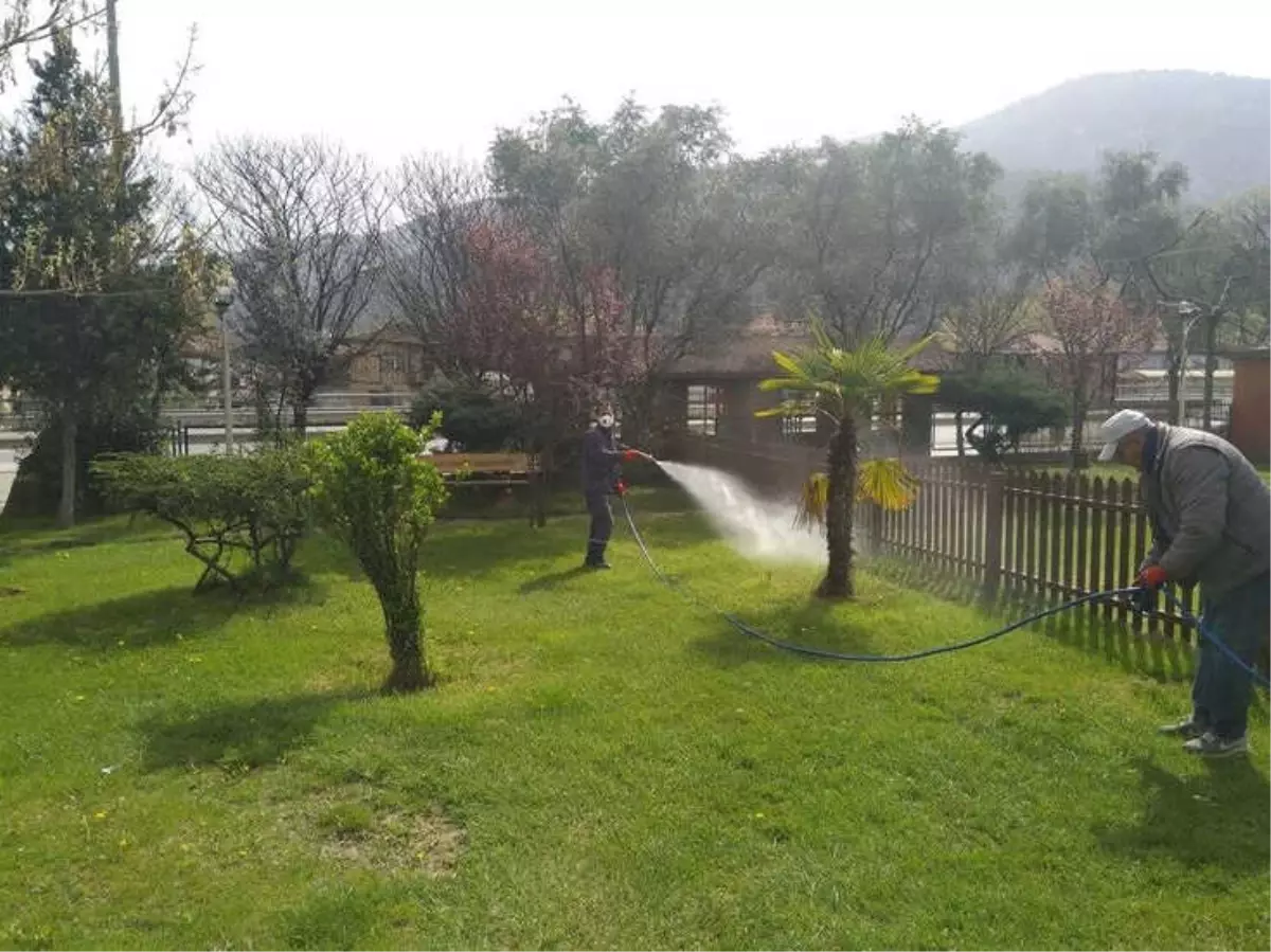 Bayırköy\'de İlaçlama Çalışmaları Yapıldı