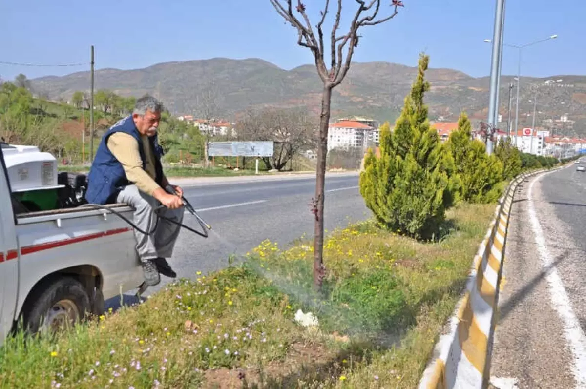 Gölbaşı İlçesinde Ağaçlara İlaçlı Bakım