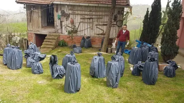 İstiridye Mantarı Yetiştiriciliği Yaygınlaşıyor - Son Dakika