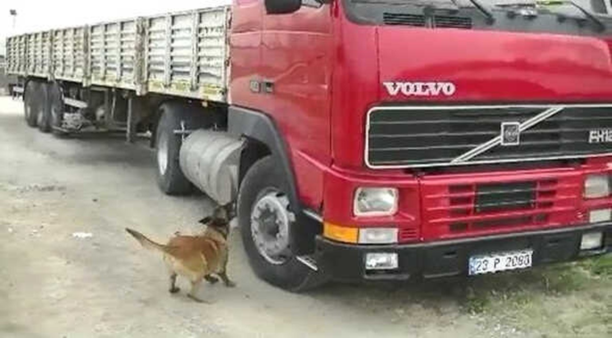Jandarma Tırda 51 Kilo 187 Gram Eroin Yakaladı