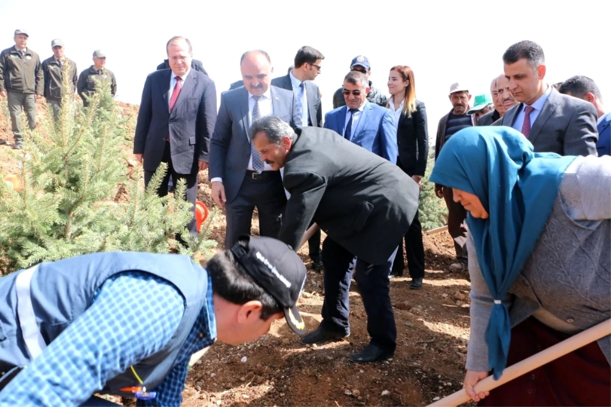 Şehit Sercan Kara İçin Hatıra Ormanı Oluşturuldu