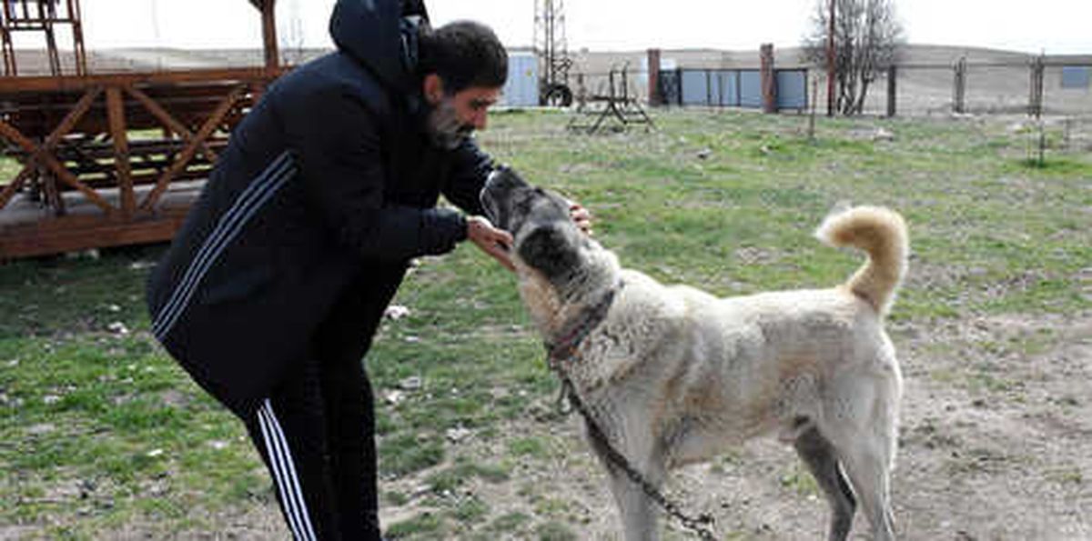Ünal Karaman\'ın \'Kangal Köpeği\' Sevgisi