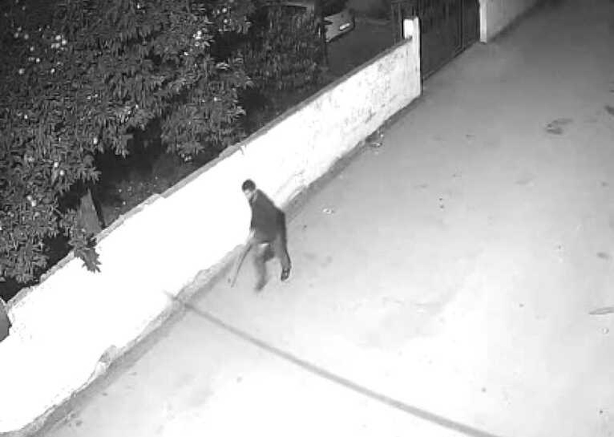 Bahçeden 3 Koyun Çaldı, Güvenlik Kamerasına Yakalandı